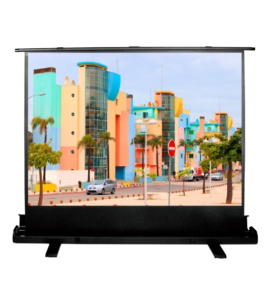 Экран Cactus 120x160 см FloorExpert CS-PSFLE-160X120 4:3 напольный рулонный