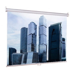Экраны LUMIEN Eco Picture LEP-100101, 150х150 см, 1:1