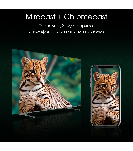 Телевизор Digma 55' Pro 55M черный/серебристый OLED 4K UHD 120Hz Google TV