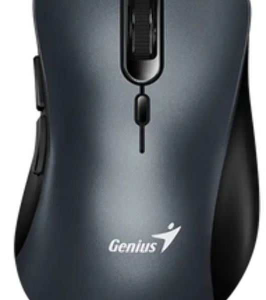 Мышь беспроводная Genius Ergo 8100S черный, 1600 dpi, радиоканал, USB, кнопки - 6