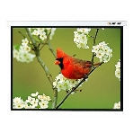Экран Lumien 305x305 см Master Picture LMP-100107 1:1 настенно-потолочный рулонный, фото 1