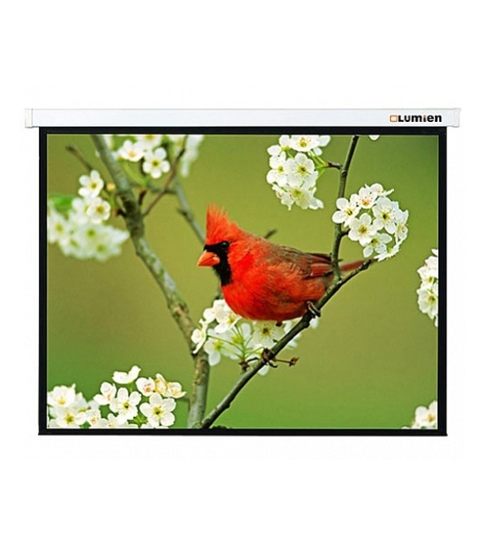 Экран Lumien 305x305 см Master Picture LMP-100107 1:1 настенно-потолочный рулонный