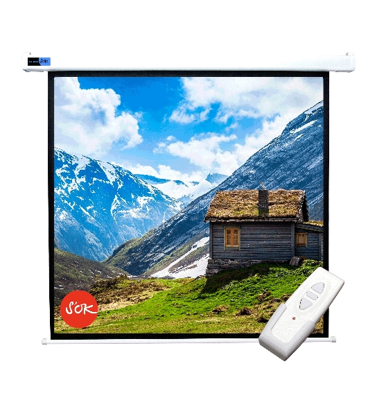 Экран 250x250 см Motoscreen 1:1 настенно-потолочный рулонный (моторизованный) 139' фибергласс