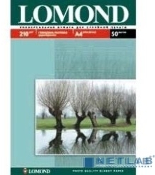Фотобумага Lomond 0102021 A4/210г/м2/50л./белый глянцевое/матовое для струйной печати