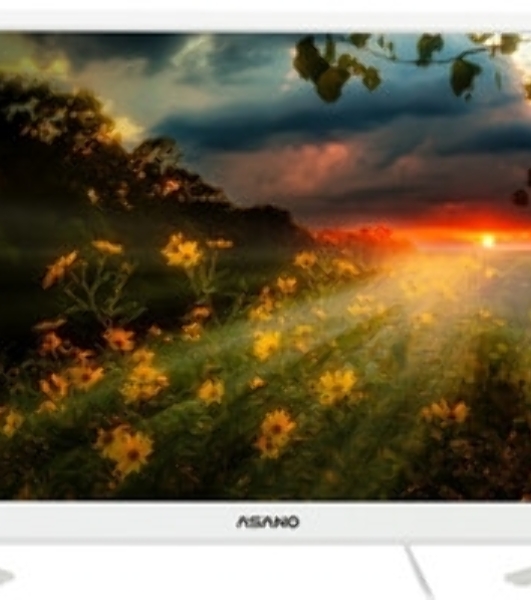 Телевизор Asano 24' 24LH1011T белый LED HD 60Hz