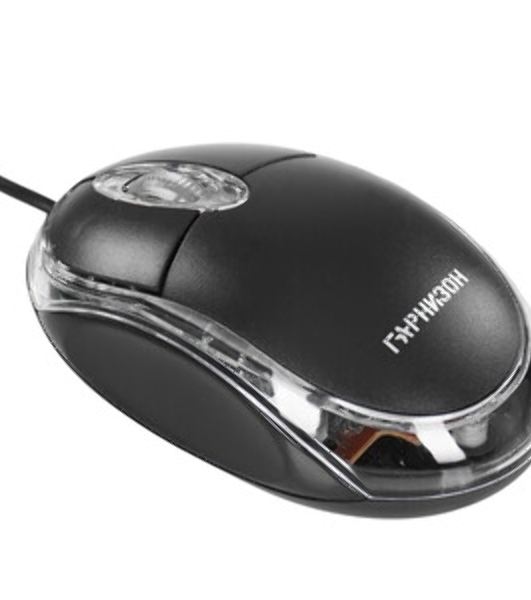 Мышь проводная Гарнизон GM-100 черный, 1000 dpi, USB, кнопки - 3