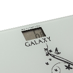 Весы Galaxy GL4800, фото2