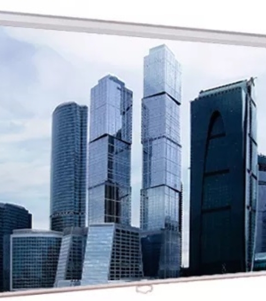 Настенный экран Lumien Eco Picture 229х305 см (рабочая область 221х297 см) Matte White прямоуголный корпус, возможность потолочн./настенного крепления, уровень в комплекте, 4:3