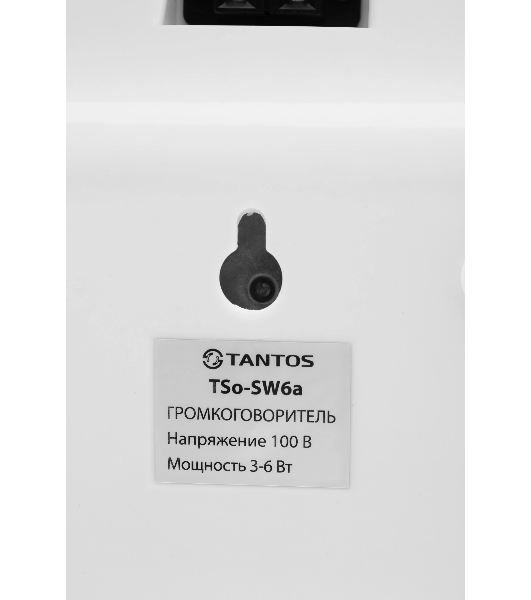 Громкоговоритель Tantos TSo-SW6a настенный 6Вт белый (00-00025704)