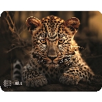 Коврик для мыши Cactus Leopard 250x200x3мм (CS-MP-D06S), фото 1