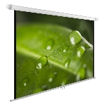 Экран Cactus 150x200 см WallExpert CS-PSWE-200x150-WT 4:3 настенно-потолочный рулонный, фото 1