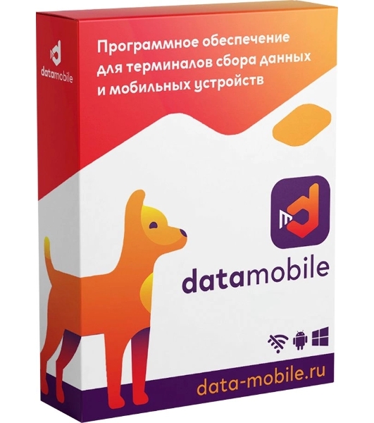 Программное обеспечение Неискл. право на исп-ие DataMobile версия Стандарт LifeTime (DM)