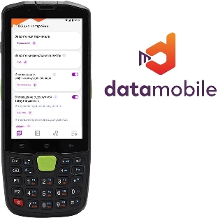Программное обеспечение Неискл. право на исп-ие DataMobile версия Стандарт LifeTime (DM)
