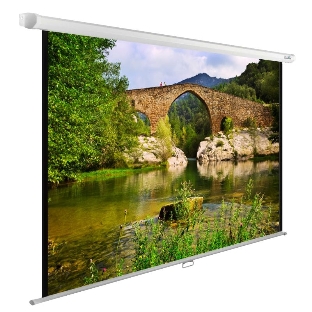 Экран Cactus 220x165 см WallExpert CS-PSWE-220x165-WT 1:1 настенно-потолочный рулонный белый