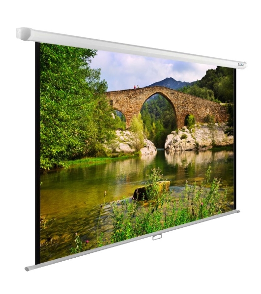 Экран Cactus 220x165 см WallExpert CS-PSWE-220x165-WT 1:1 настенно-потолочный рулонный белый