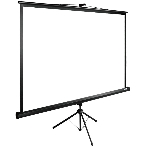 Экран Cactus 220x220 см TriExpert CS-PSTE-220х220-BK 1:1 напольный рулонный, фото 1