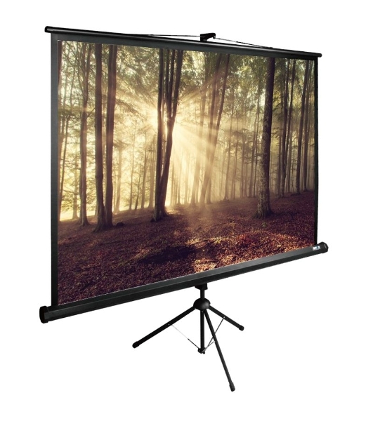 Экран Cactus 135x180 см TriExpert CS-PSTE-180х135-BK 4:3 напольный рулонный