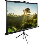 Экран Cactus 200x200 см TriExpert CS-PSTE-200х200-BK 1:1 напольный рулонный, фото 1