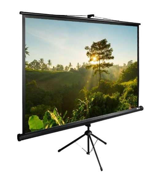 Экран Cactus 200x200 см TriExpert CS-PSTE-200х200-BK 1:1 напольный рулонный