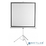 Экран 200x200см Digis Kontur-D DSKD-1106 1:1 напольный рулонный, фото3