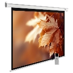 Экран Cactus 188x300 см MotoExpert CS-PSME-300x188-WT 16:10 настенно-потолочный рулонный белый (моторизованный привод), фото2