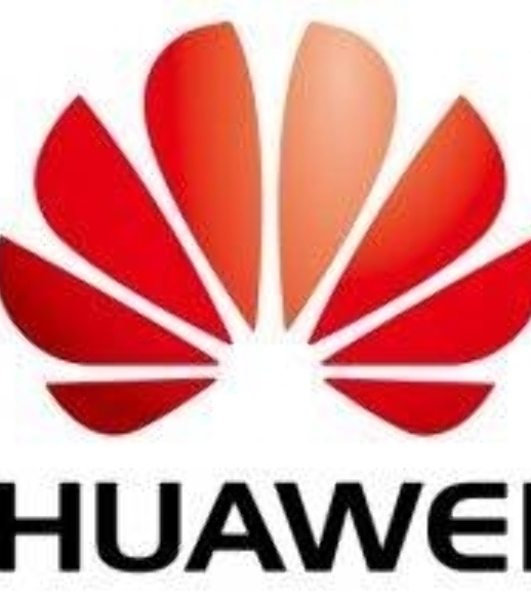 Накопитель SSD Huawei M.2 SSD,SATA 6Gb/s-240Gb,Hot-Swappable
