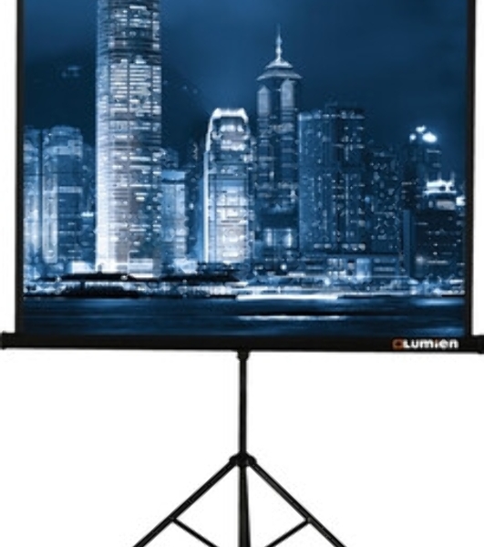 Экран на треноге Lumien 220x165 см Master View LMV-100113 4:3 напольный рулонный