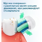 Электрическая зубная щетка Philips Sonicare 3100 series, 1 стандартная насадка C1 ProResults, фото11
