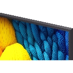 Телевизор LG 65' 65NANO81A6A черный LED UHD 60Hz Smart TV 2GB/8GB, фото10