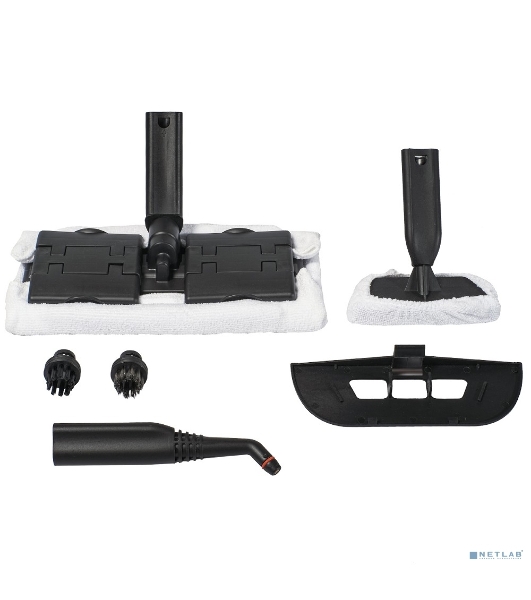 Пароочиститель Bort BDR-2500-RR-Iron, напольный, 2,3 кВт., давление 4 бар, пар 45 г/мин., t-пара 143 °С., бак 1.5 л.