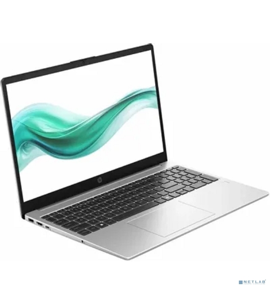 Ноутбук HP 250R G10/15.6'/IPS/Intel Core 3 100U/8Gb/512Gb SSD/Intel Graphics/noOS/серебристый/1.59kg