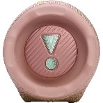 Портативная акустика JBLCHARGE6PINK розовый, фото12