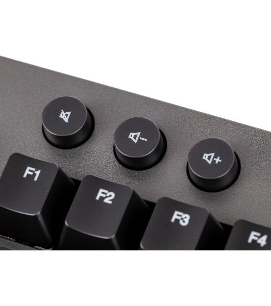 Клавиатура Lenovo Legion K500 RGB Mechanical проводная, USB Type-A, серый