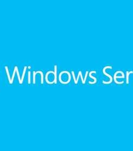 Операционная система Microsoft Windows Server 2019 Std 5 Clt 64 bit Eng BOX (P73-07680)
