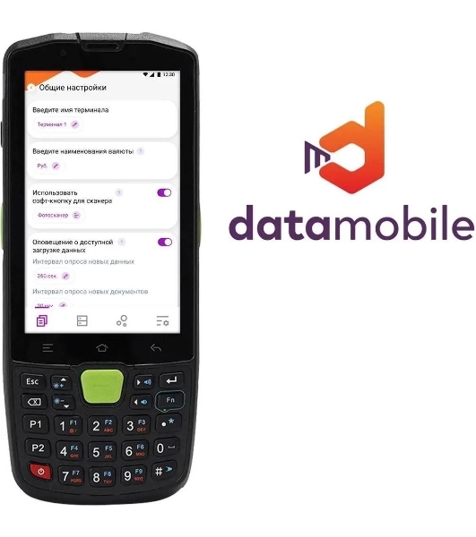 Программное обеспечение Неискл. право на исп-ие DataMobile версия Стандарт подп.1г. (DM12M)