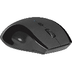 Мышь беспроводная Defender Accura MM-295 черный, 1600 dpi, радиоканал, USB, кнопки - 6, фото20
