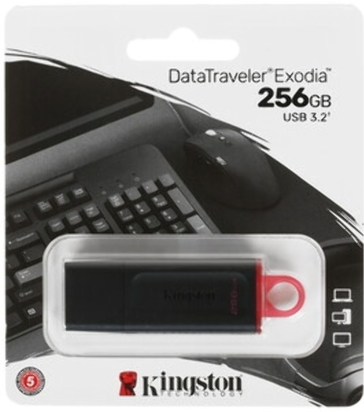 Флешка USB Kingston DataTraveler Exodia S (DTXS/256Gb), 256Gb, USB 3.2 Gen 1, R/W 70/25, оранжевый/черный