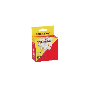 Картридж струйный Colouring CG-0821 черный водный для Epson STYLUS R270/R290/R295/R390/RX590/RX610/RX615/RX690/1410/TX700W/TX800FW/T50