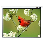Экран Lumien 171x128см Master Picture LMP-100108 4:3 настенно-потолочный рулонный белый, фото 1