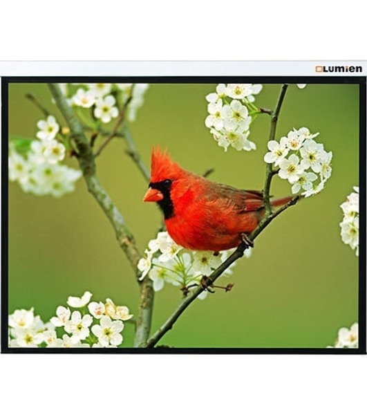 Экран Lumien 171x128см Master Picture LMP-100108 4:3 настенно-потолочный рулонный белый