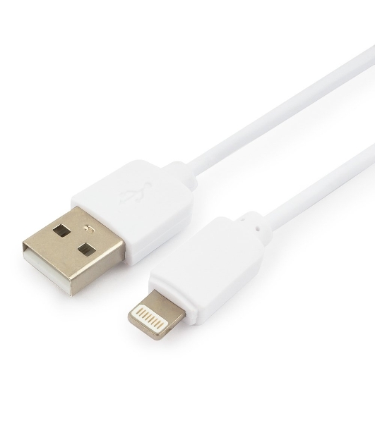 Кабель USB Гарнизон GCC-USB2-AP2-0.3M-W AM/Lightning, для iPhone5/6/7, IPod, IPad, 0.3м, белый, пакет