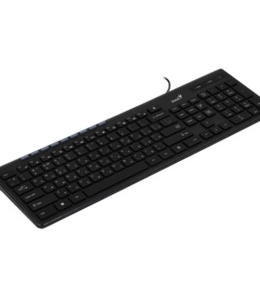 Клавиатура проводная Genius SlimStar 230II 31310048402, USB, черный