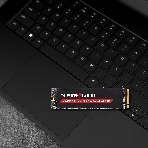 Накопитель SSD Patriot Viper VP4300 Lite, 1Tb, PCIe 4.0 x4, M.2 2280, NVMe, R/W 7400/6400, с радиатором, фото3