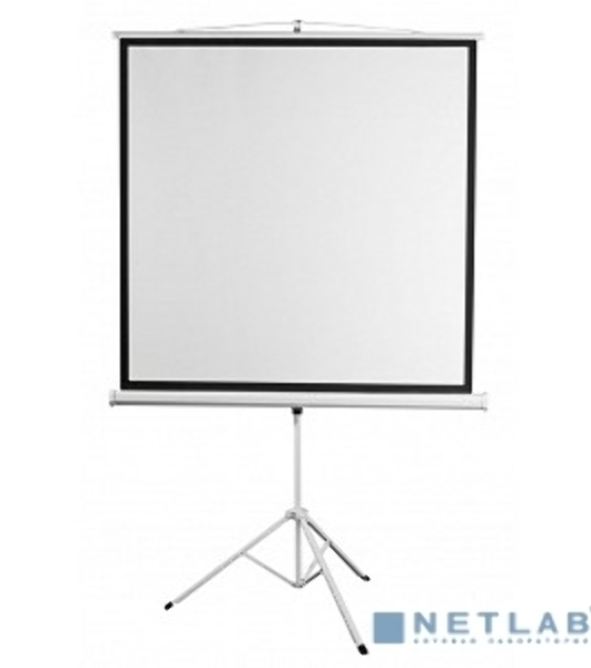 Экран 150x150см Digis Kontur-D DSKD-1103 1:1 напольный рулонный