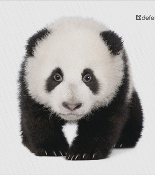Коврик для мыши Defender Wild Animals и, 220x180x2 мм, 8 видов