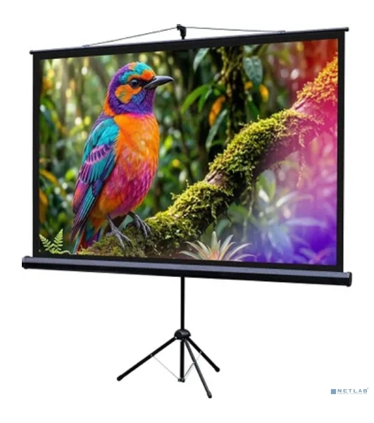 Экран на штативе Lumien Eco View 130x227см (раб.область124х221 см) (100') Matte White 16:9