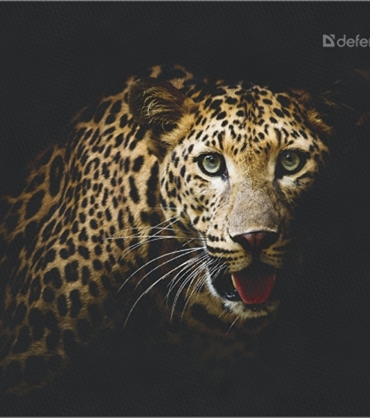 Коврик для мыши Defender Wild Animals и, 220x180x2 мм, 8 видов