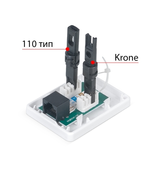Розетка в сборе Cabeus, 1x RJ45(8P8C), кат. 6, неэкр., внешняя, белый, (WS-8P8C-Cat.6-1)