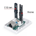 Розетка в сборе Cabeus, 1x RJ45(8P8C), кат. 6, экр., внешняя, белый, (WS-8P8C-Cat.6-SH-1), фото 1