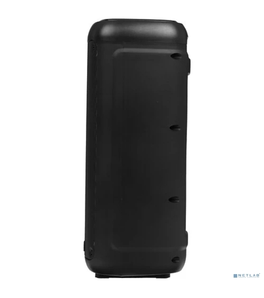 Портативная колонка Ritmix SP-875B черный